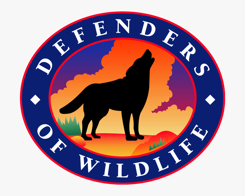 Transparent Wolf Head Silhouette Png - Defenders Of Wildlife, Png Download, Free Download