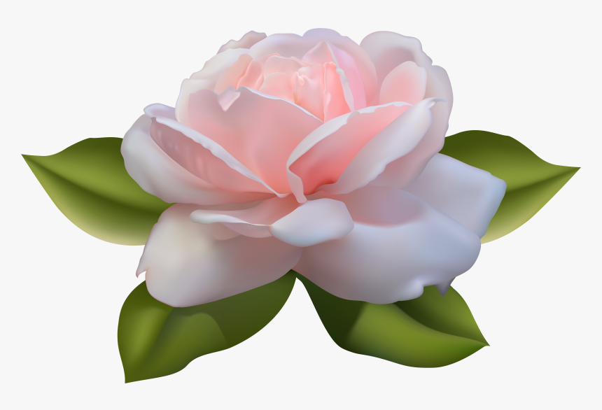 Lotus Clipart Beautiful - Pink Rose With Leaves, HD Png Download, Free Download