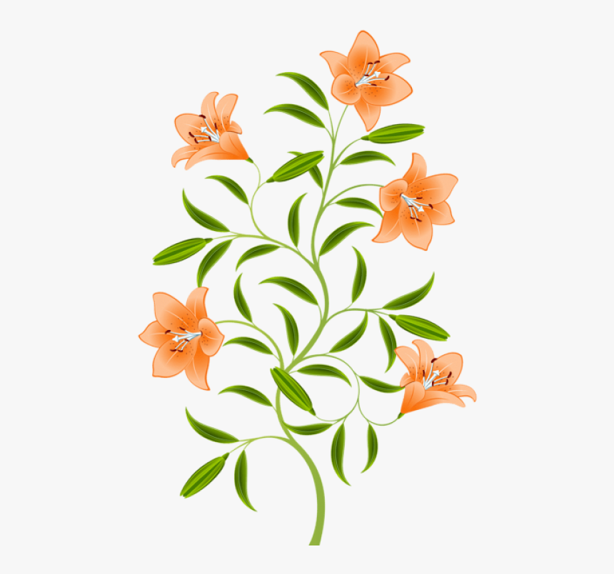 free png download orange lily png images background tiger lily flower art transparent png kindpng tiger lily flower art transparent png