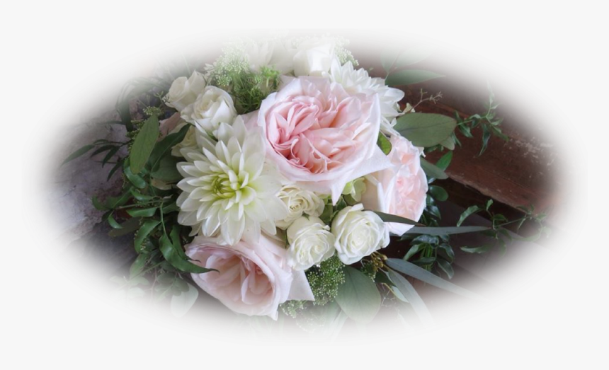 Springhill Flowers - Garden Roses, HD Png Download, Free Download