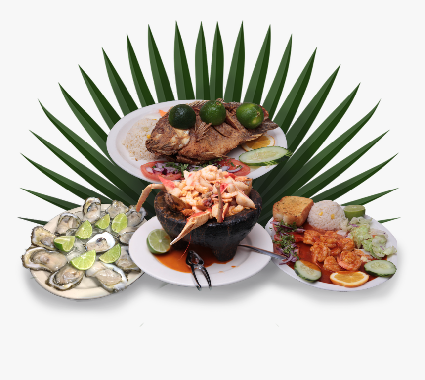 transparent tostada de ceviche png mussel png download kindpng transparent tostada de ceviche png