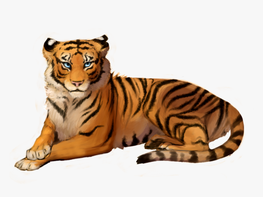 Transparent Tiger Png - Transparent Background Tiger Clipart, Png Download, Free Download