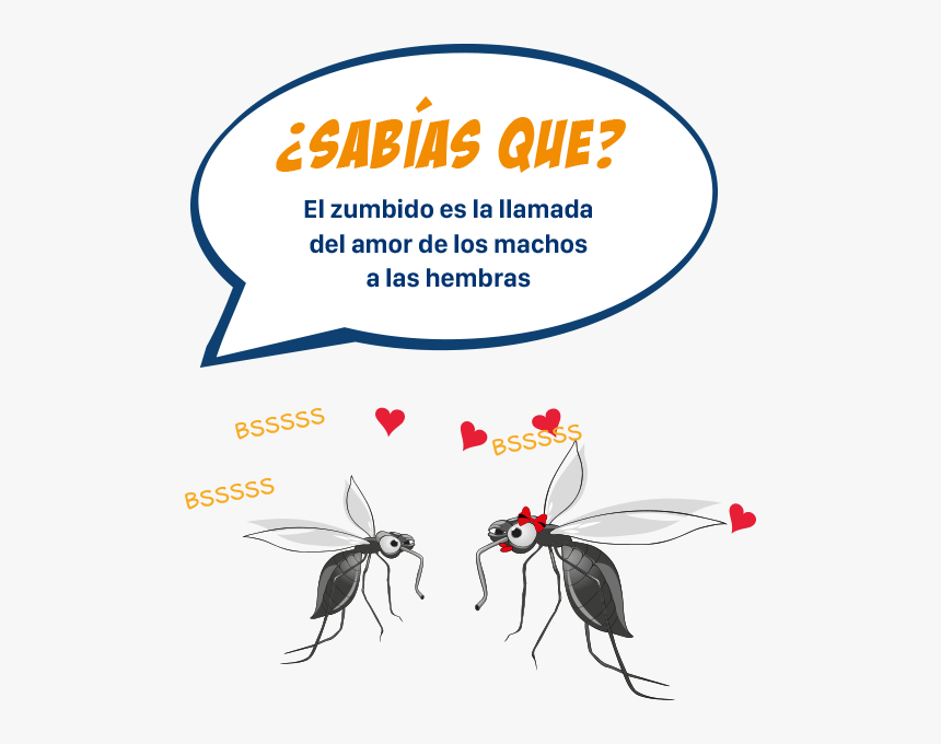 ¿sabías Que , Png Download - Cartoon, Transparent Png, Free Download