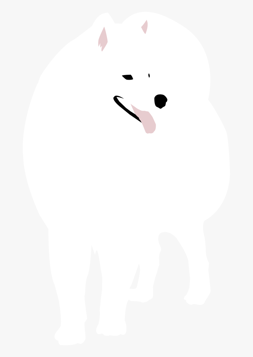 Samoyed Png, Transparent Png, Free Download