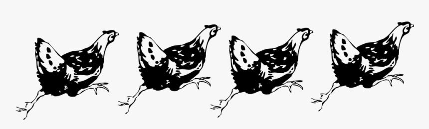 Hen, Chicken, Running, Farm Animals, Farm, Agriculture - Running Hens, HD Png Download, Free Download