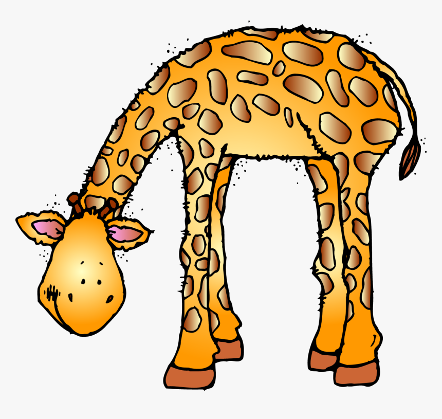 Clipart Zoo Animals, HD Png Download, Free Download