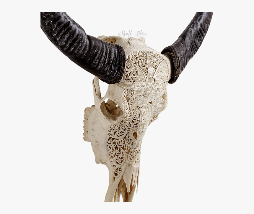 Carved Buffalo Skull - Skull, HD Png Download, Free Download