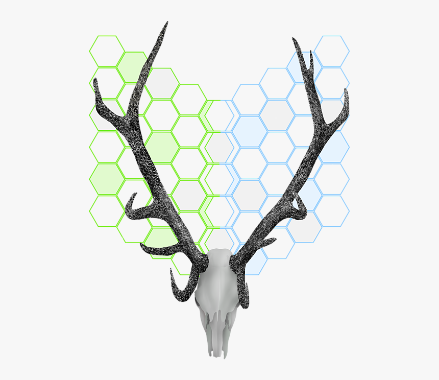 Stag Transparent, HD Png Download, Free Download