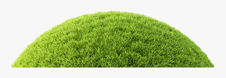 Moss, HD Png Download, Free Download