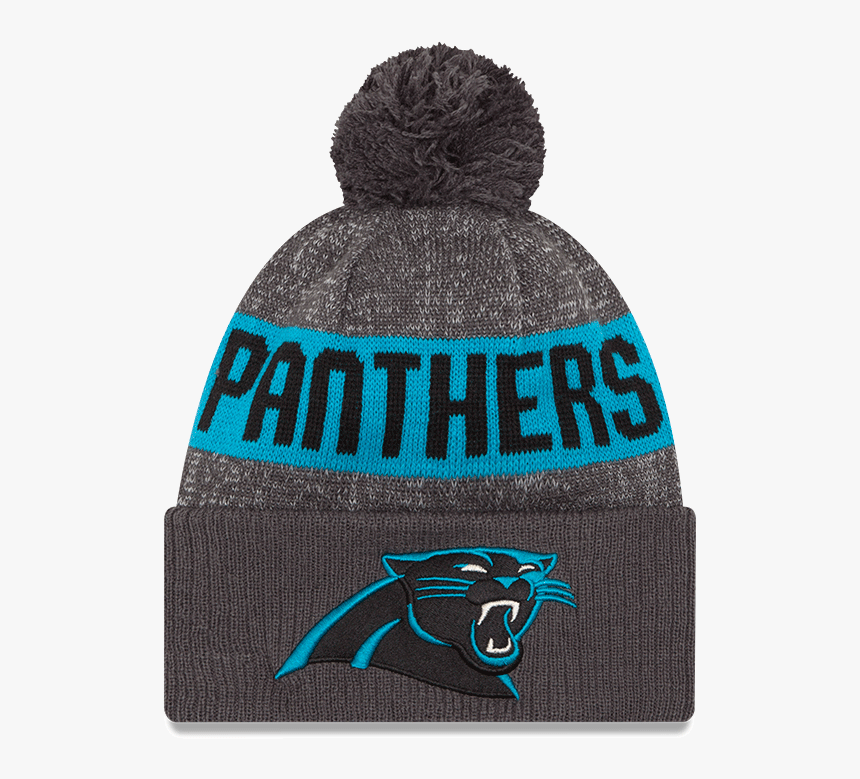 Carolina Panthers, HD Png Download, Free Download