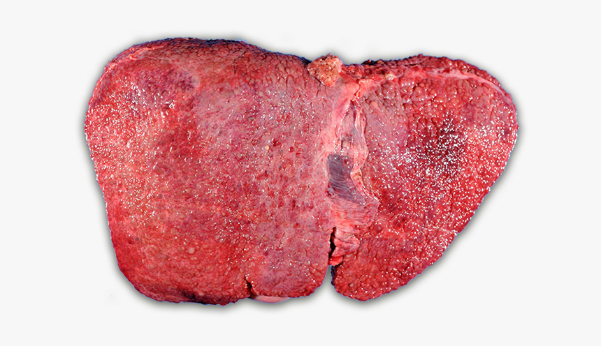 Red Meat,animal Cover,food,sirloin Steak,roast Beef,kobe - Wilson Disease, HD Png Download, Free Download