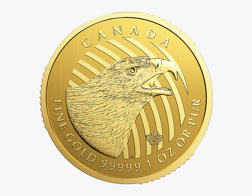 Eagle Gold Coin, HD Png Download, Free Download