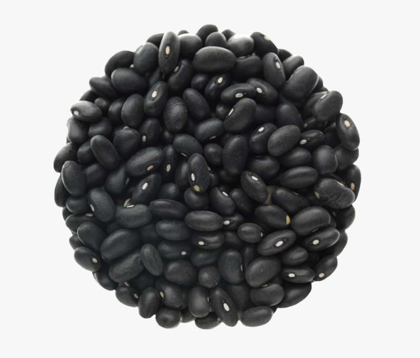 Transparent Bean Png - Black Beans Transparent Background, Png Download, Free Download