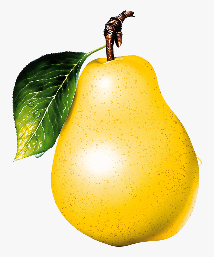 Pear - Pear Png, Transparent Png, Free Download