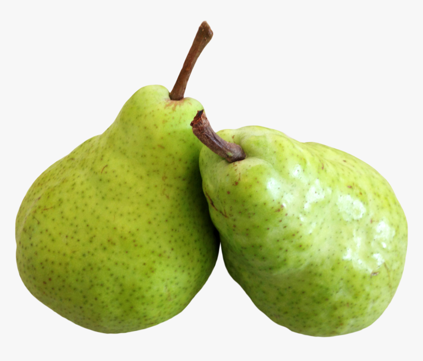 Transparent Png Pear Image - Pear Png, Png Download, Free Download