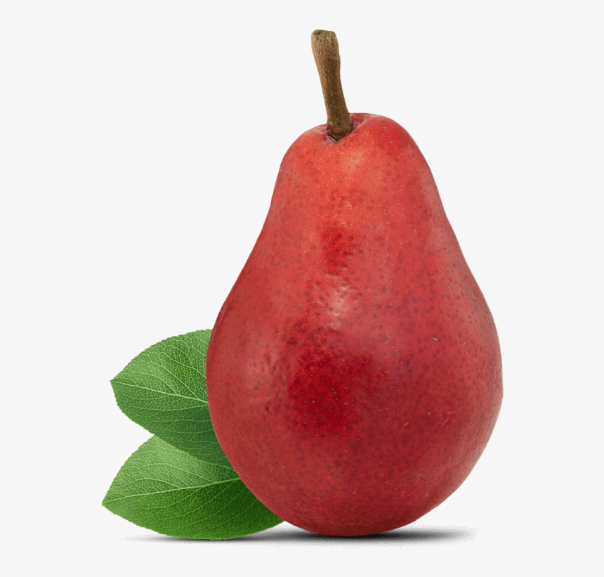 Pear Fruit, HD Png Download - kindpng