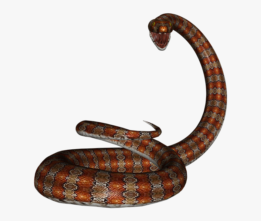 Snake png. ТИТАНОБОА змея. Древняя змея ТИТАНОБОА. Змеи на прозрачном фоне. Змеи для фотошопа.