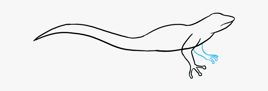 How To Draw Lizard - Line Art, HD Png Download, Free Download