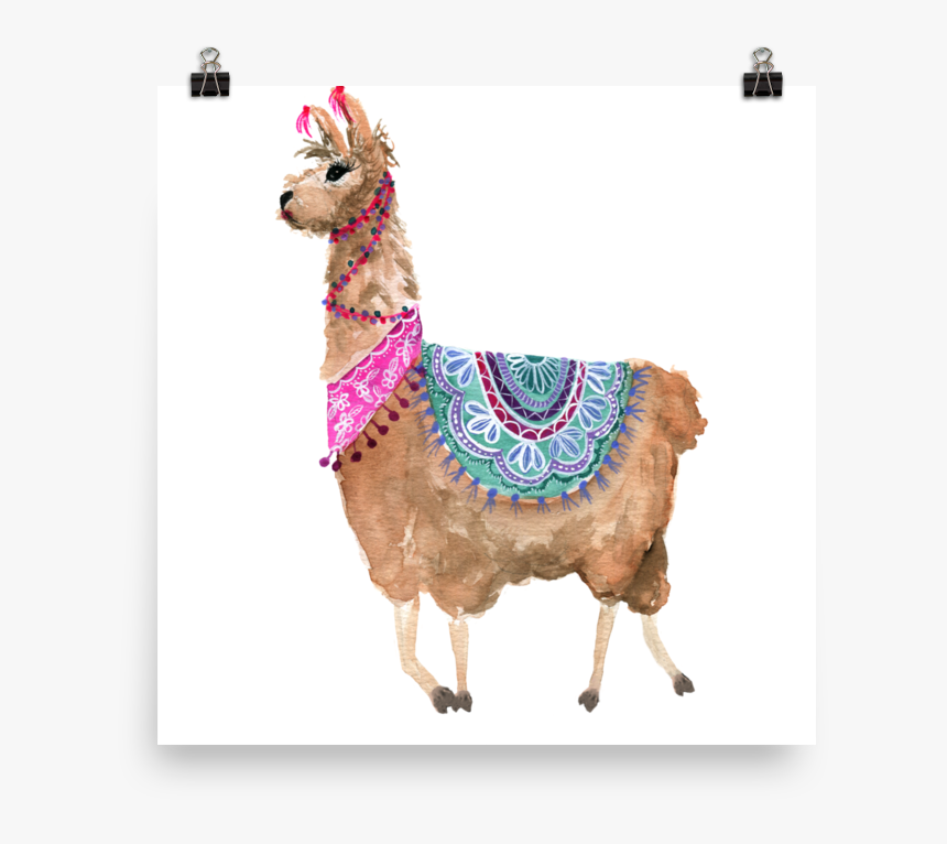 Llama, HD Png Download, Free Download