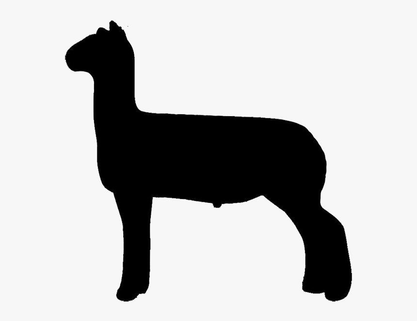 Free Show Lamb Clip Art Sheep Graphics Clublamb Images - Silhouette Of Show Sheep, HD Png Download, Free Download