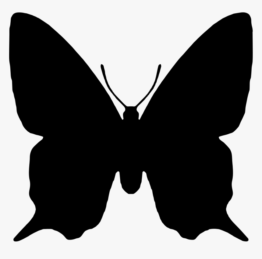 Butterfly Insect Animal Shape - Butterfly Shape Png, Transparent Png, Free Download