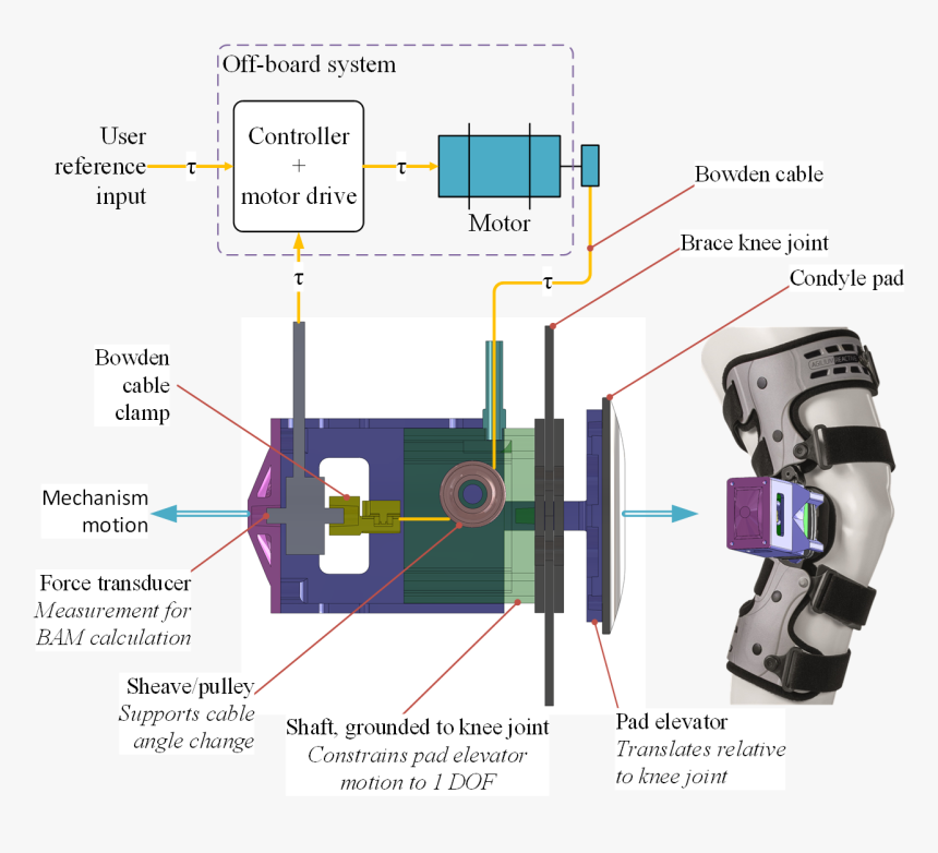 Metal Knee Brace, HD Png Download, Free Download