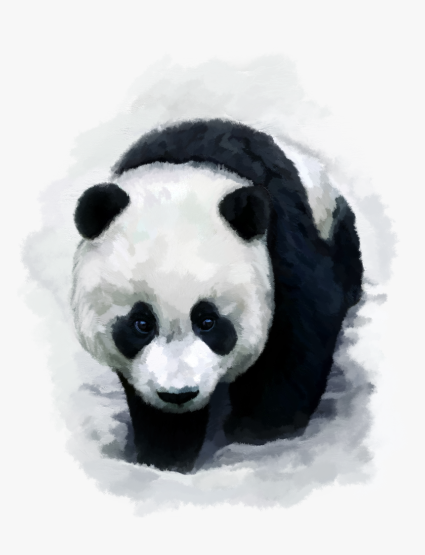 Giant Panda Bear Red Panda Desktop Wallpaper Baby Pandas Trail Of The Panda Movie Hd Png Download Kindpng