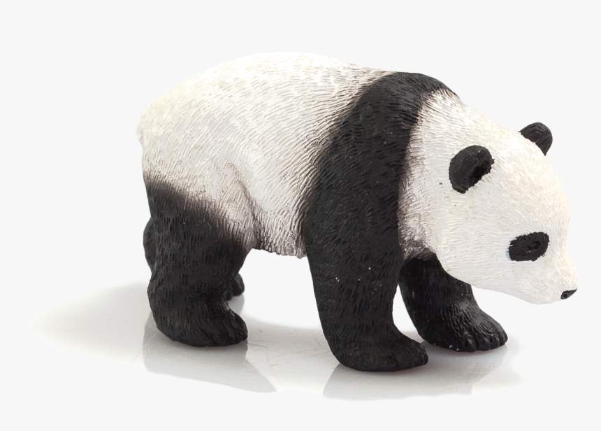 Transparent Baby Panda Png - Giant Panda, Png Download, Free Download