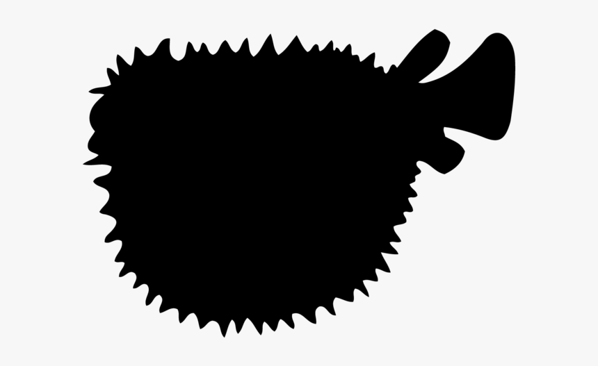 Download Pufferfish Silhouette Of Puffer Fish Hd Png Download Kindpng