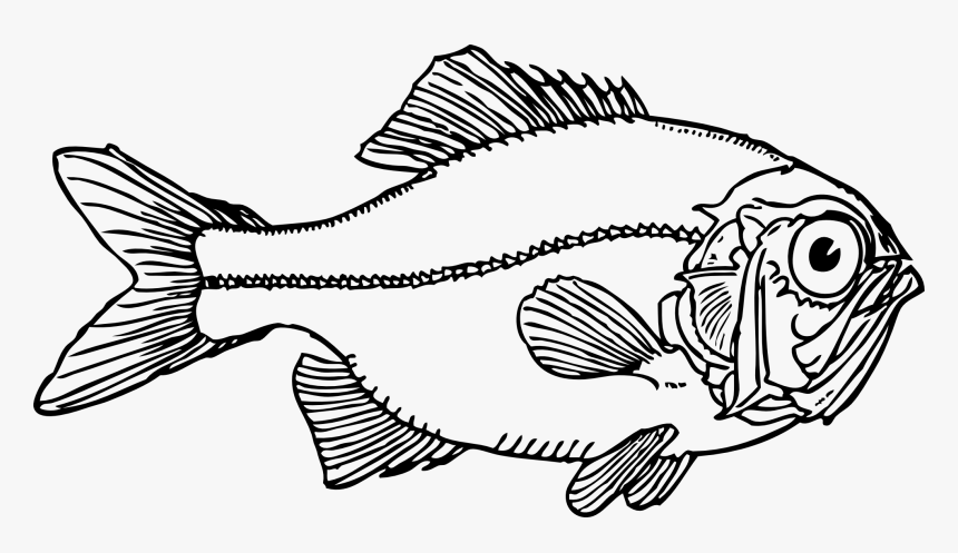 Ugly Fish Black White Line Art Coloring Book - Fish Clip Art, HD Png Download, Free Download