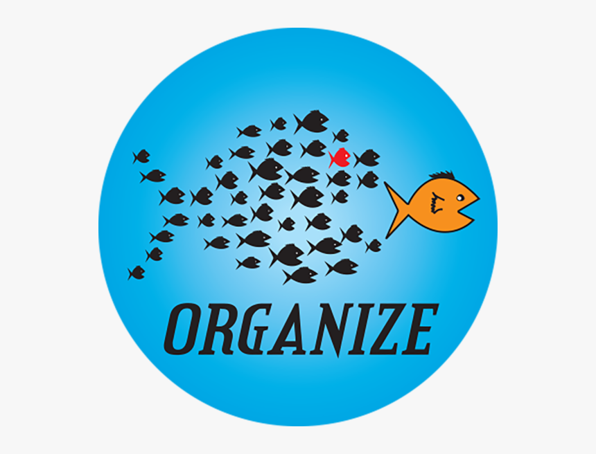 Organize Button - Circle, HD Png Download, Free Download