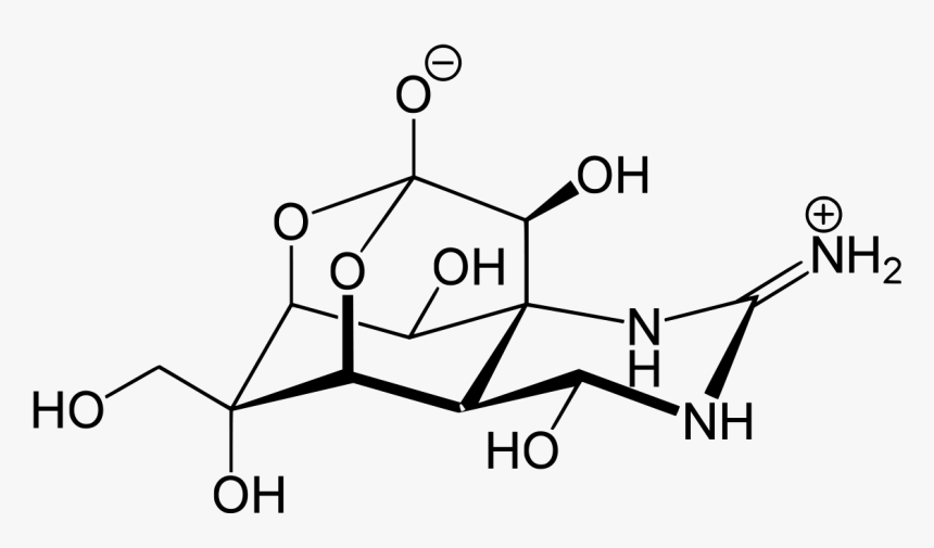 1 Methyladenosine, HD Png Download, Free Download