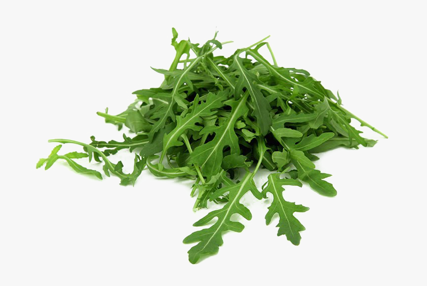 Arugula Leaves Transparent - Arugula, HD Png Download, Free Download