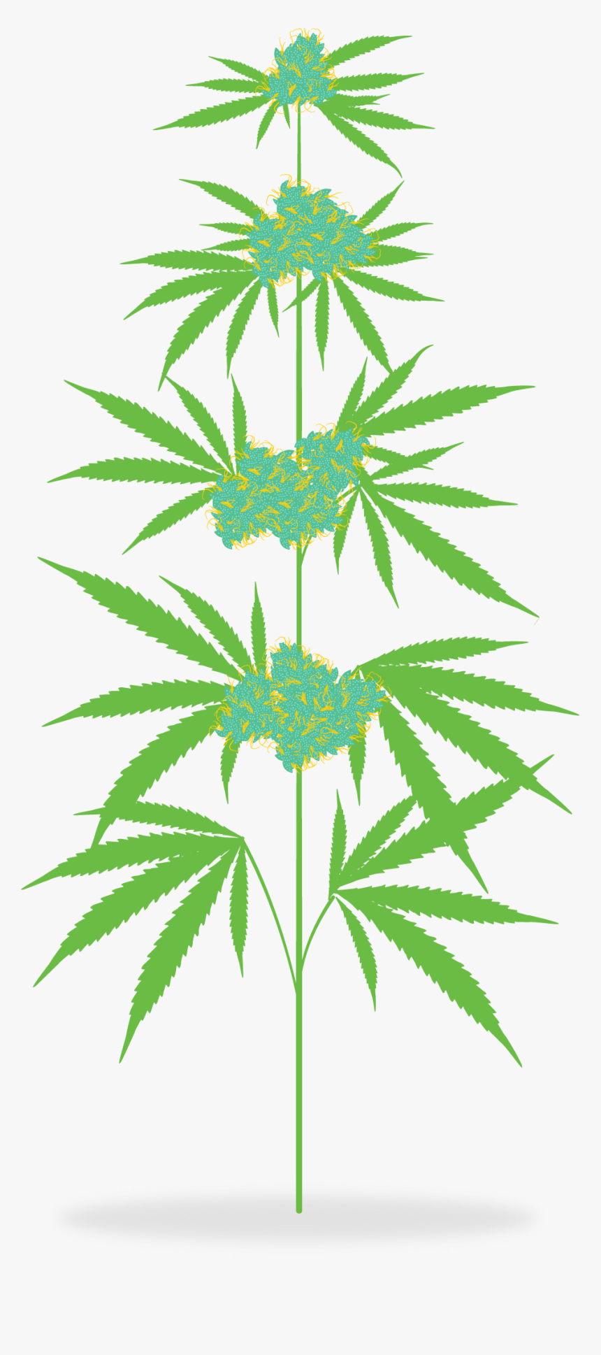 marihuana clipart