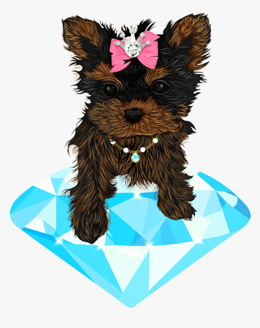 Yorkshire Terrier, HD Png Download, Free Download